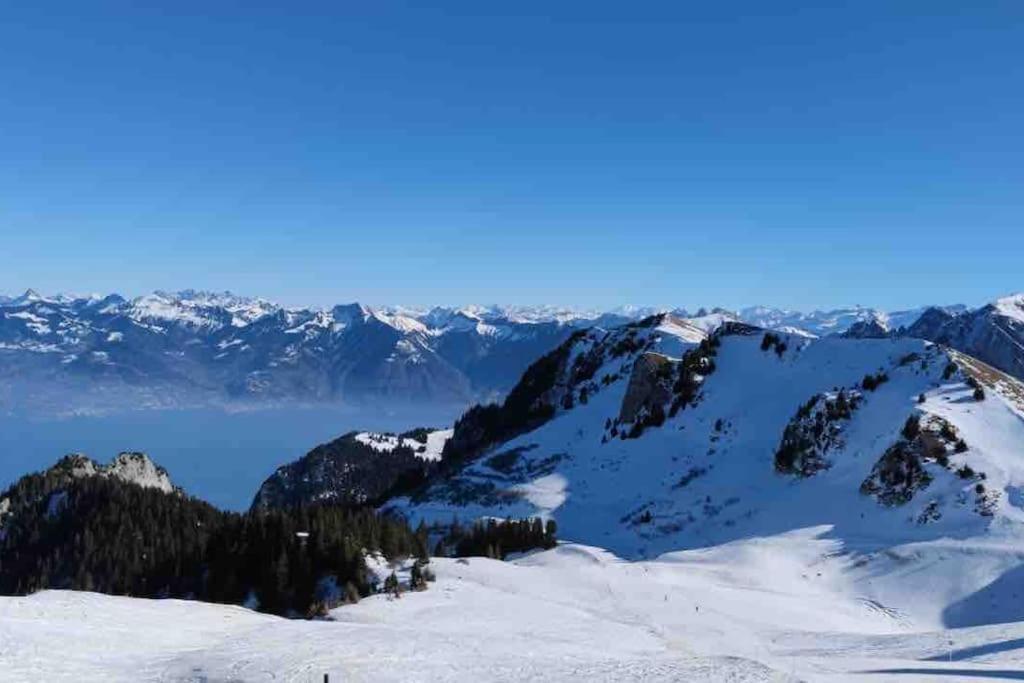 Studio Myrtilles Du Leman Vue Sur Lac Et Montagne Thollon-les-Memises Exterior foto