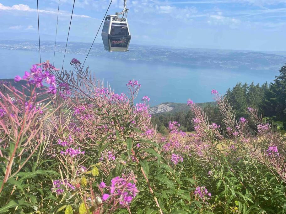 Studio Myrtilles Du Leman Vue Sur Lac Et Montagne Thollon-les-Memises Exterior foto