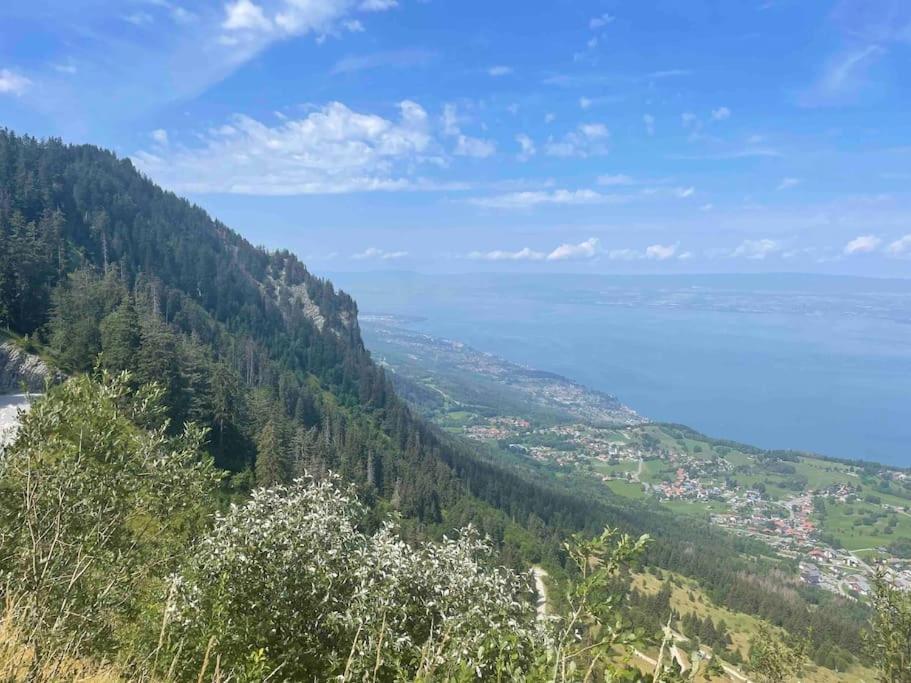 Studio Myrtilles Du Leman Vue Sur Lac Et Montagne Thollon-les-Memises Exterior foto